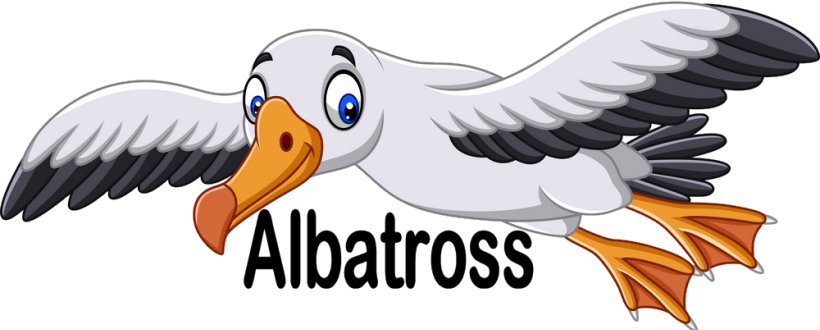 Albatross.jpg