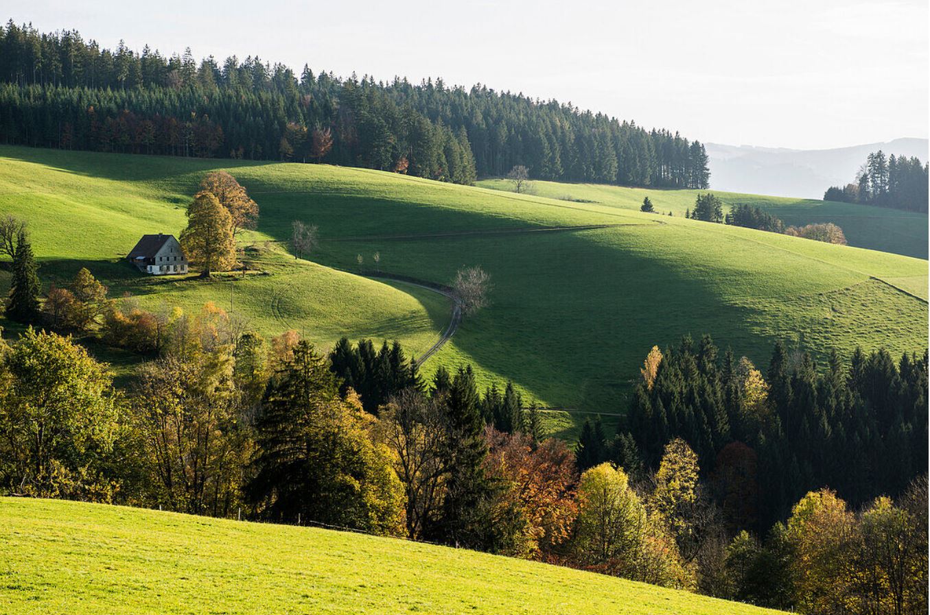 Schwarzwald - 2.JPG
