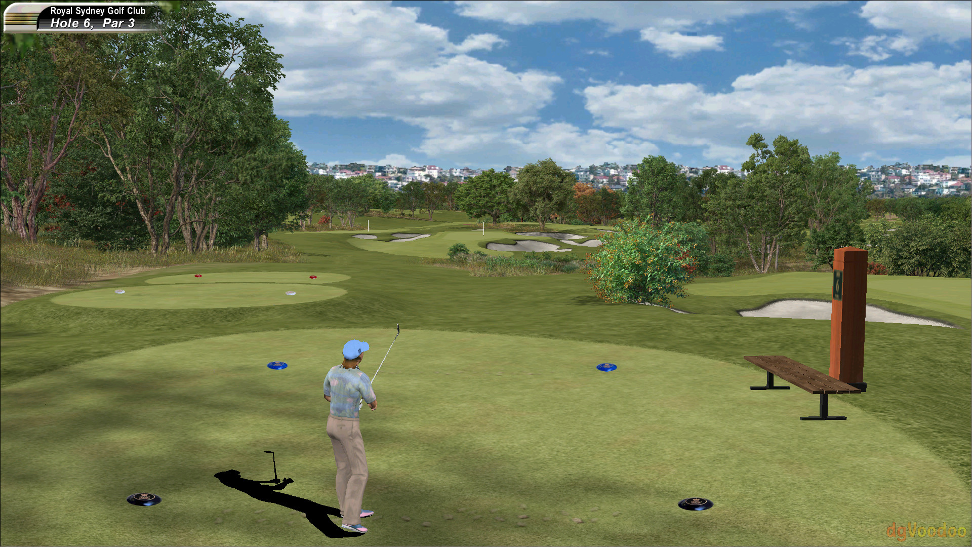 Another Par 3