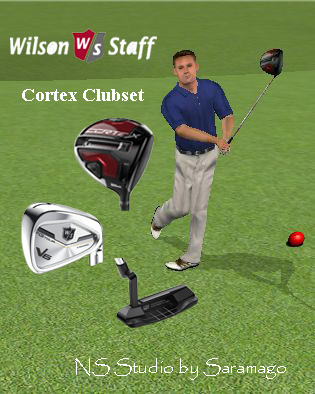 Wilson Staff Clubset.JPG