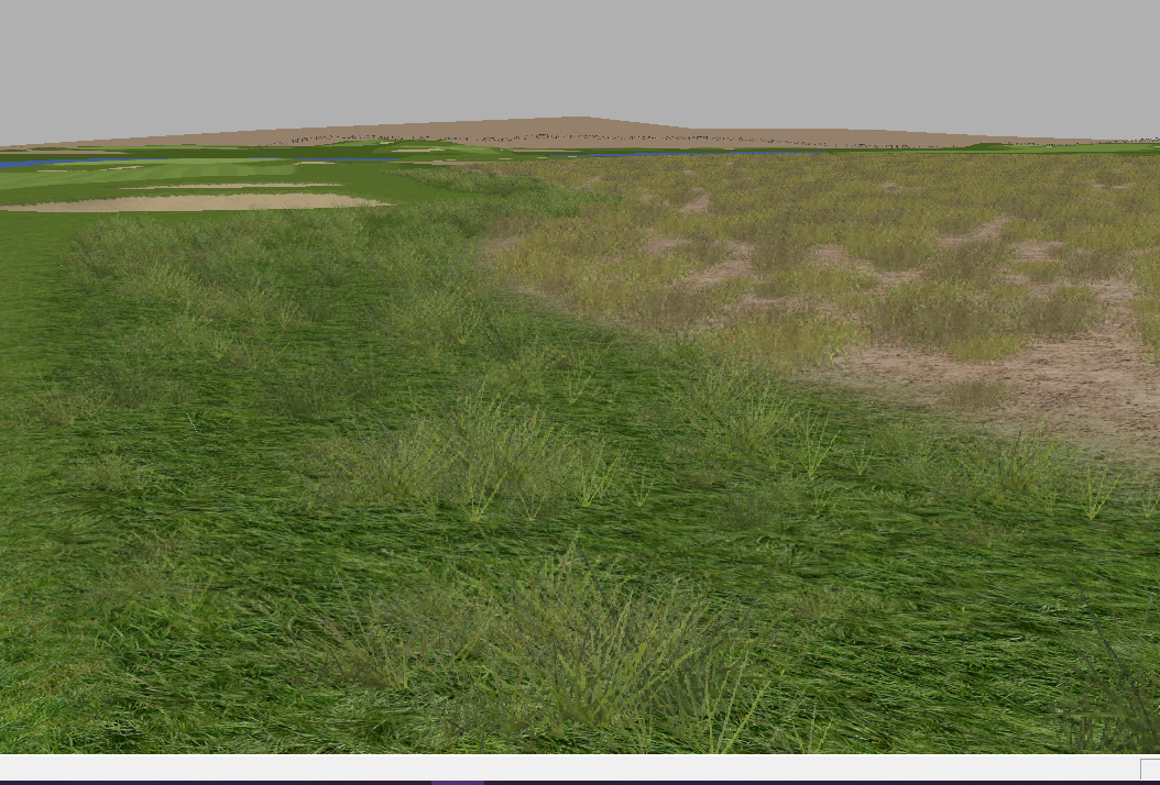 Grass.jpg