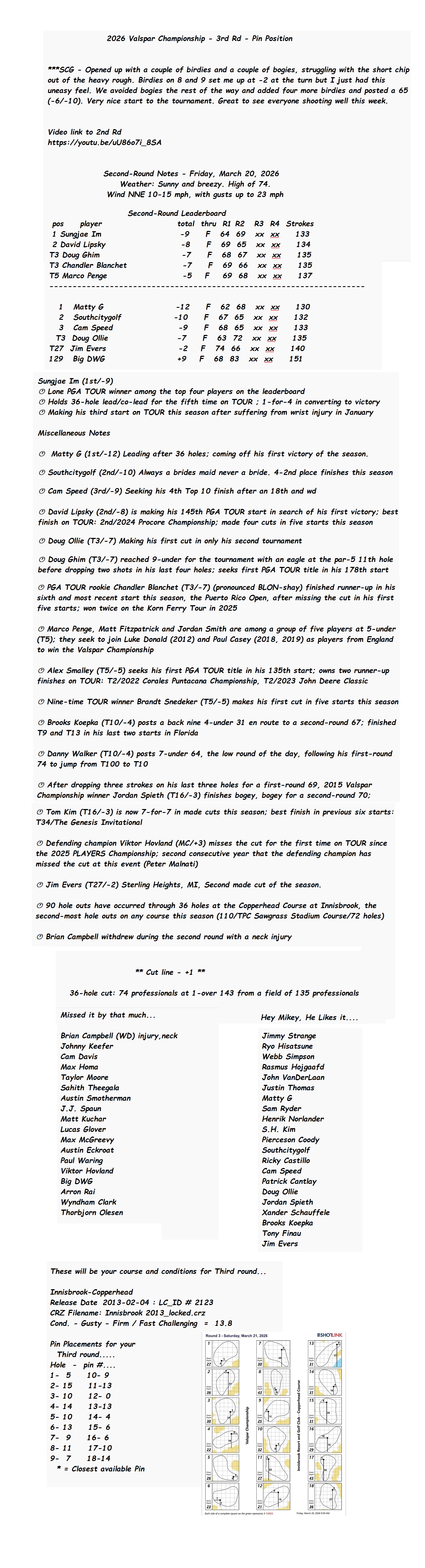 2026 Valspar Championship - 3rd Rd Pin Position Full.jpg